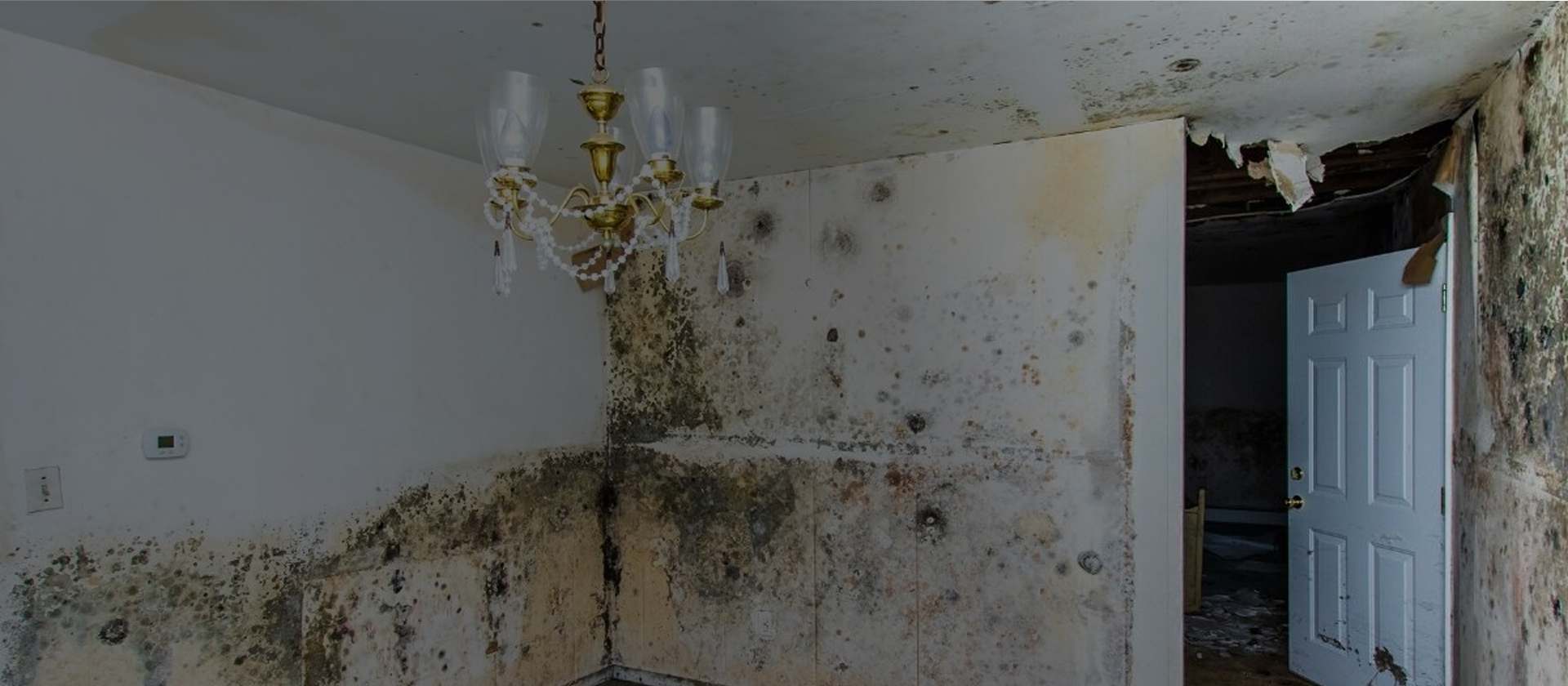 Room with extensive black mold spread across walls and ceiling caused by long-term water intrusion, illustrating the need for professional mold remediation and moisture repair services
