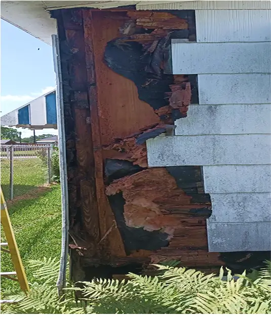 Exposed exterior wall with extensive dry rot and deteriorated siding, illustrating major structural damage caused by water intrusion and the need for full wall reconstruction